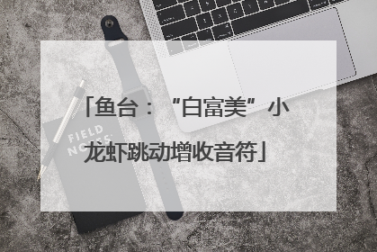 鱼台：“白富美”小龙虾跳动增收音符