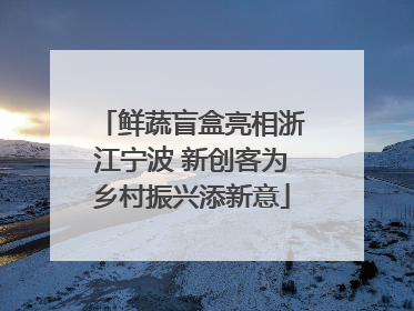 鲜蔬盲盒亮相浙江宁波 新创客为乡村振兴添新意
