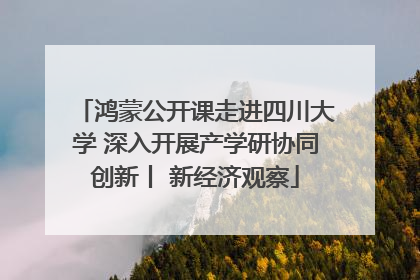 鸿蒙公开课走进四川大学 深入开展产学研协同创新丨 新经济观察