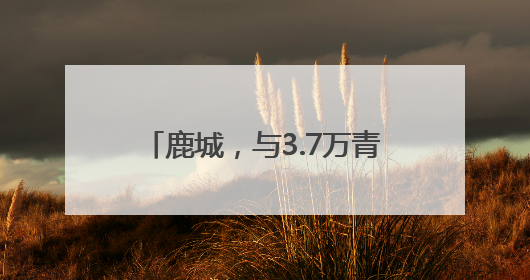 鹿城，与3.7万青年谈了一场“恋爱”