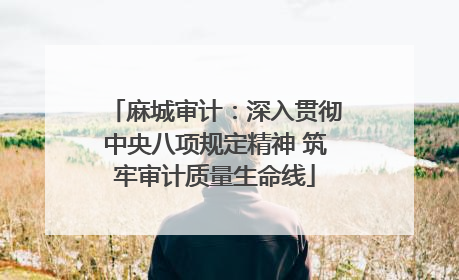 麻城审计：深入贯彻中央八项规定精神 筑牢审计质量生命线