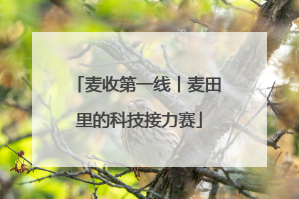 麦收第一线丨麦田里的科技接力赛