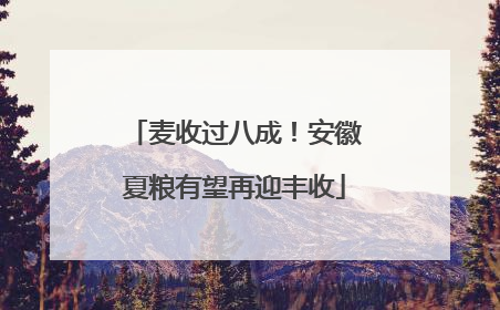 麦收过八成！安徽夏粮有望再迎丰收