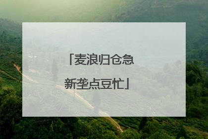 麦浪归仓急 新垄点豆忙