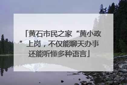 黄石市民之家“黄小政”上岗，不仅能聊天办事还能听懂多种语言