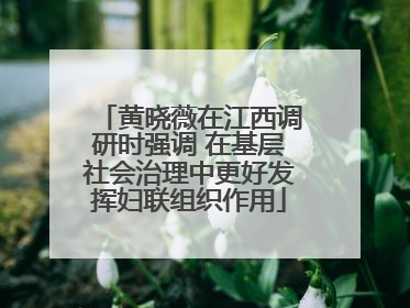 黄晓薇在江西调研时强调 在基层社会治理中更好发挥妇联组织作用