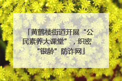 黄鹤楼街道开展“公民素养大课堂”，织密“银龄”防诈网