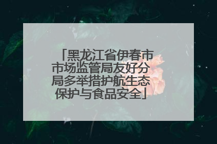黑龙江省伊春市市场监管局友好分局多举措护航生态保护与食品安全