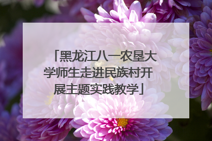 黑龙江八一农垦大学师生走进民族村开展主题实践教学
