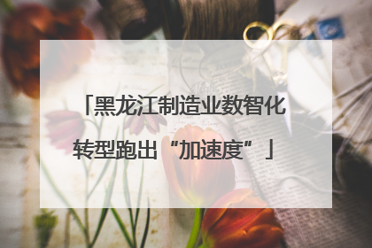 黑龙江制造业数智化转型跑出“加速度”