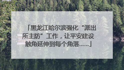 黑龙江哈尔滨强化“派出所主防”工作，让平安建设触角延伸到每个角落……