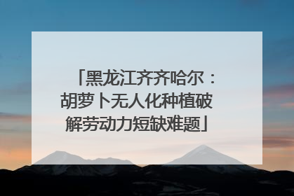 黑龙江齐齐哈尔：胡萝卜无人化种植破解劳动力短缺难题