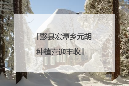 黟县宏潭乡元胡种植喜迎丰收
