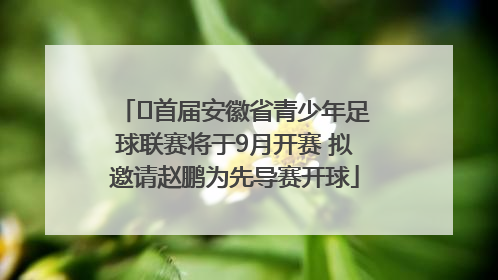 ﻿首届安徽省青少年足球联赛将于9月开赛 拟邀请赵鹏为先导赛开球
