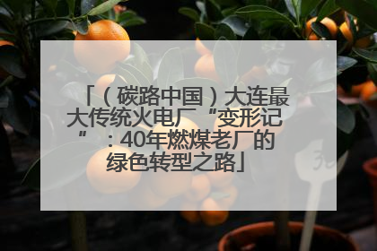 （碳路中国）大连最大传统火电厂“变形记”：40年燃煤老厂的绿色转型之路