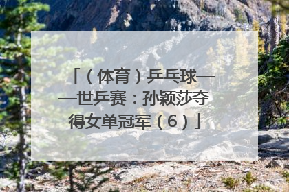 （体育）乒乓球——世乒赛：孙颖莎夺得女单冠军（6）