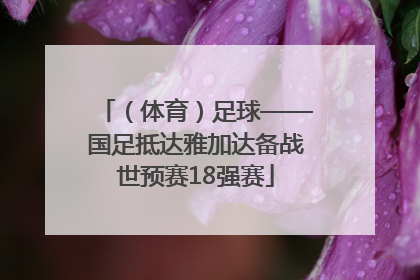 （体育）足球——国足抵达雅加达备战世预赛18强赛