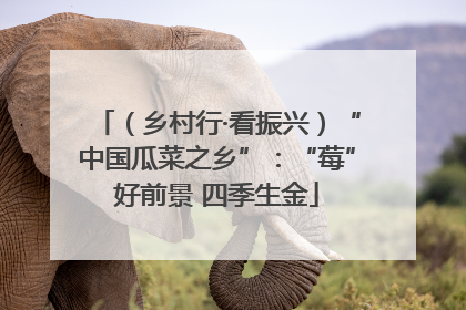 （乡村行·看振兴）“中国瓜菜之乡”：“莓”好前景 四季生金