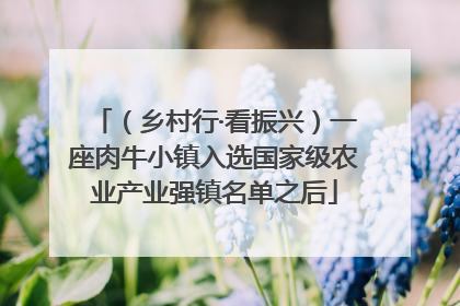 （乡村行·看振兴）一座肉牛小镇入选国家级农业产业强镇名单之后