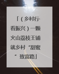 （乡村行·看振兴）一颗火山荔枝王铺就乡村“甜蜜”致富路