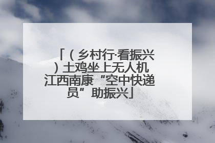 （乡村行·看振兴）土鸡坐上无人机 江西南康“空中快递员”助振兴