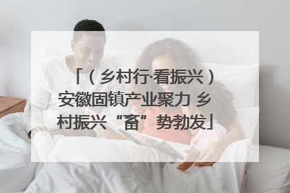 （乡村行·看振兴）安徽固镇产业聚力 乡村振兴“畜”势勃发