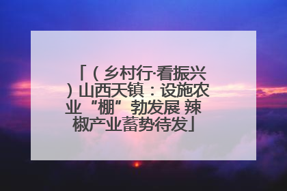 （乡村行·看振兴）山西天镇：设施农业“棚”勃发展 辣椒产业蓄势待发