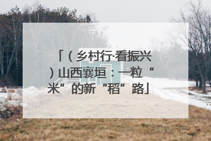 （乡村行·看振兴）山西襄垣：一粒“米”的新“稻”路