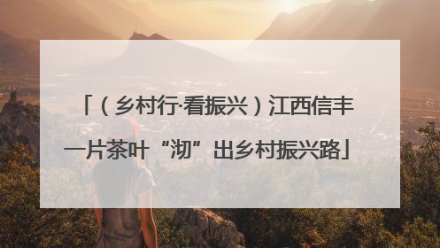 （乡村行·看振兴）江西信丰一片茶叶“沏”出乡村振兴路