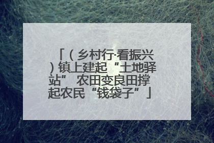 （乡村行·看振兴）镇上建起“土地驿站” 农田变良田撑起农民“钱袋子”
