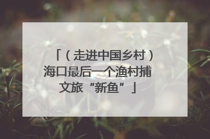 （走进中国乡村）海口最后一个渔村捕文旅“新鱼”