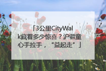 3公里CityWalk藏着多少惊喜？沪疆童心手拉手，“益起走”