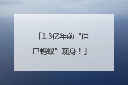 1.3亿年前“僵尸蚂蚁”现身！
