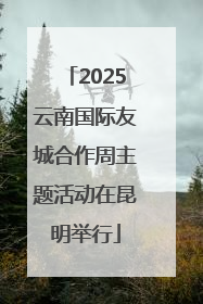 2025云南国际友城合作周主题活动在昆明举行