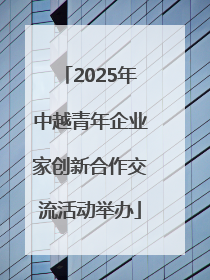 2025年中越青年企业家创新合作交流活动举办