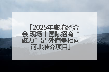 2025年廊坊经洽会·现场丨国际招商“磁力”足 外商争相向河北推介项目