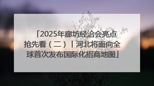 2025年廊坊经洽会亮点抢先看（二）丨河北将面向全球首次发布国际化招商地图