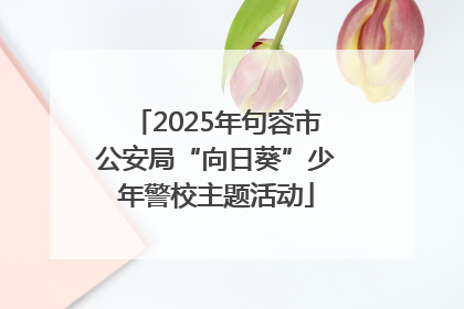 2025年句容市公安局“向日葵”少年警校主题活动