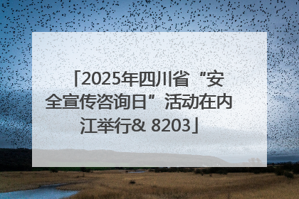 2025年四川省“安全宣传咨询日”活动在内江举行& 8203