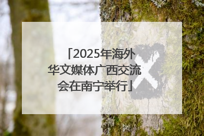 2025年海外华文媒体广西交流会在南宁举行