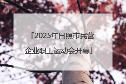 2025年日照市民营企业职工运动会开幕