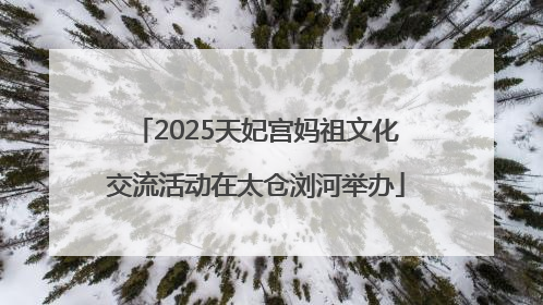 2025天妃宫妈祖文化交流活动在太仓浏河举办