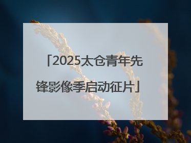 2025太仓青年先锋影像季启动征片