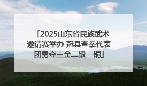 2025山东省民族武术邀请赛举办 冠县查拳代表团勇夺三金二银一铜