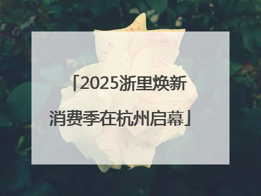 2025浙里焕新消费季在杭州启幕