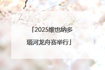 2025维也纳多瑙河龙舟赛举行
