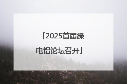 2025首届绿电铝论坛召开