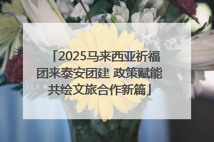 2025马来西亚祈福团来泰安团建 政策赋能共绘文旅合作新篇