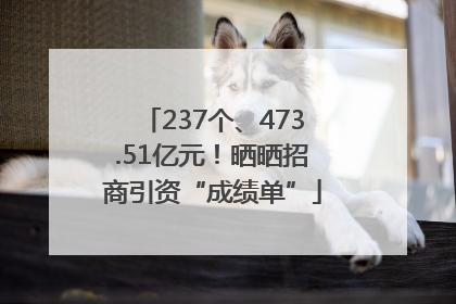 237个、473.51亿元！晒晒招商引资“成绩单”