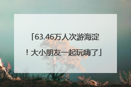 63.46万人次游海淀！大小朋友一起玩嗨了